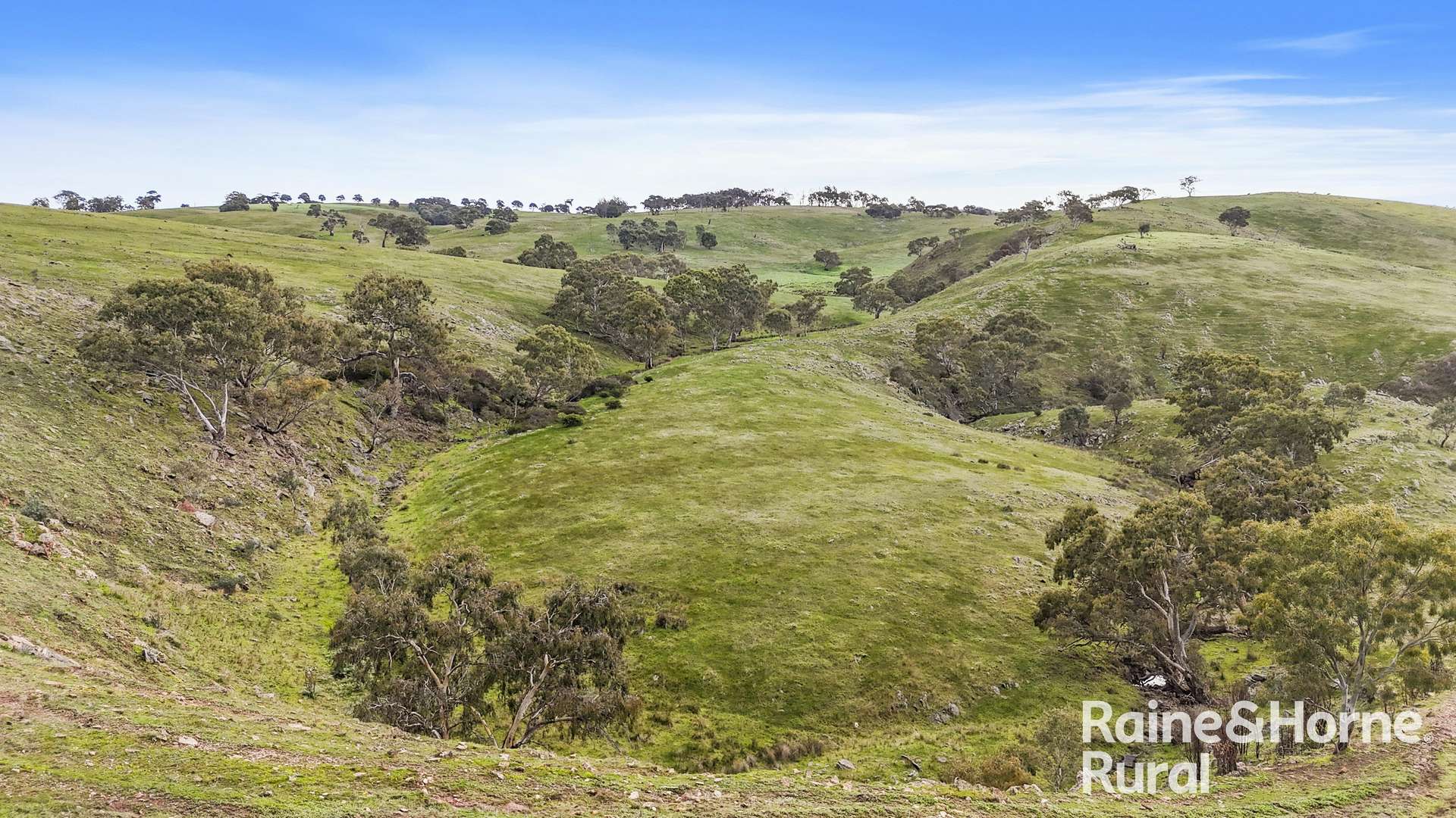 341 Wiles Firetrack, Wistow For Sale by Farmbuy.com - image 33