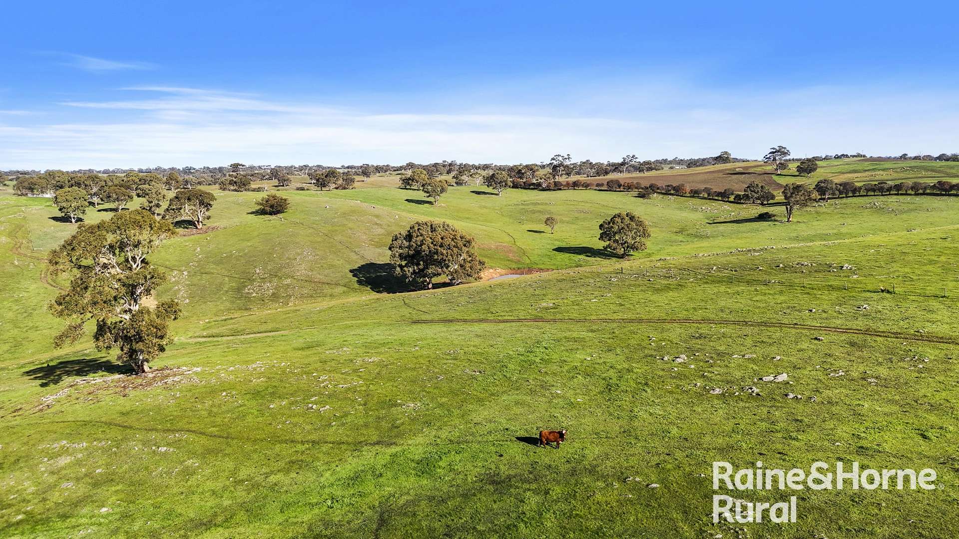 341 Wiles Firetrack, Wistow For Sale by Farmbuy.com - image 21