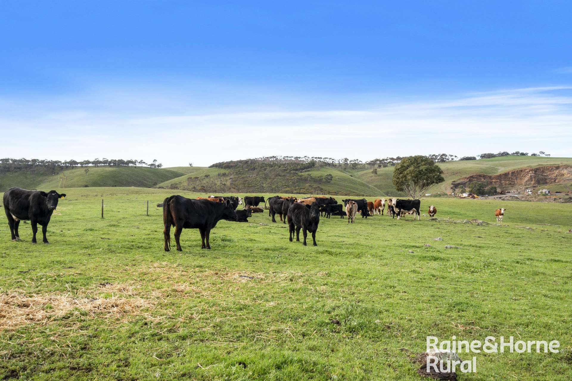 341 Wiles Firetrack, Wistow For Sale by Farmbuy.com - image 9
