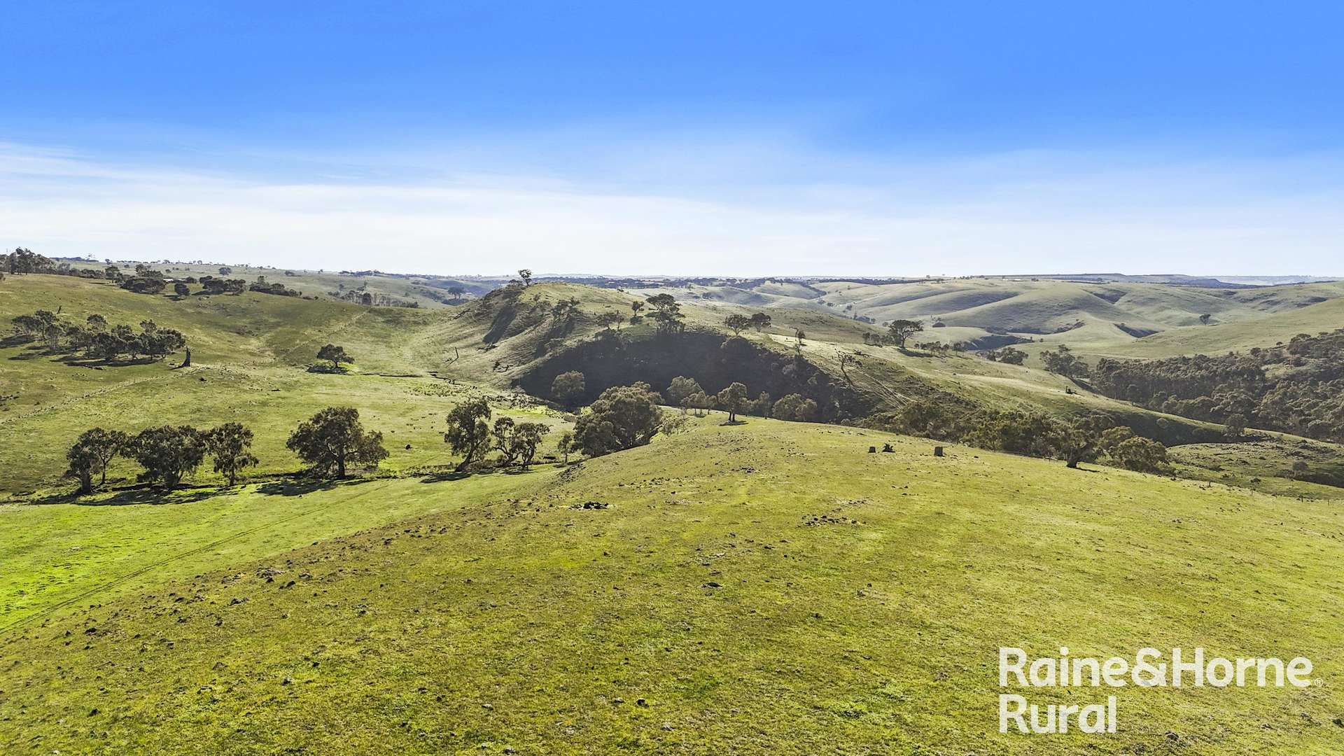 341 Wiles Firetrack, Wistow For Sale by Farmbuy.com - image 26