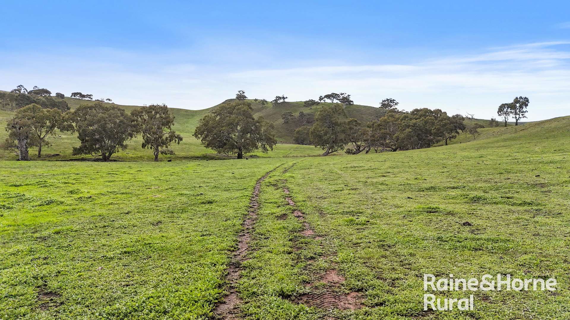 341 Wiles Firetrack, Wistow For Sale by Farmbuy.com - image 5