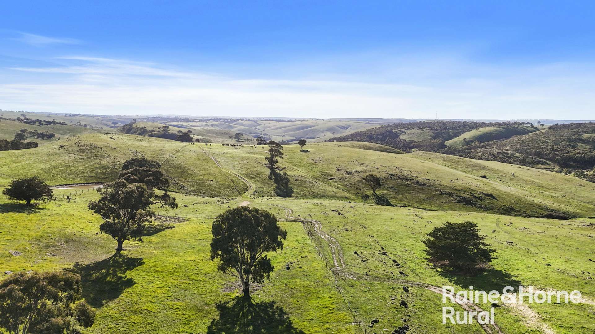341 Wiles Firetrack, Wistow For Sale by Farmbuy.com - image 23