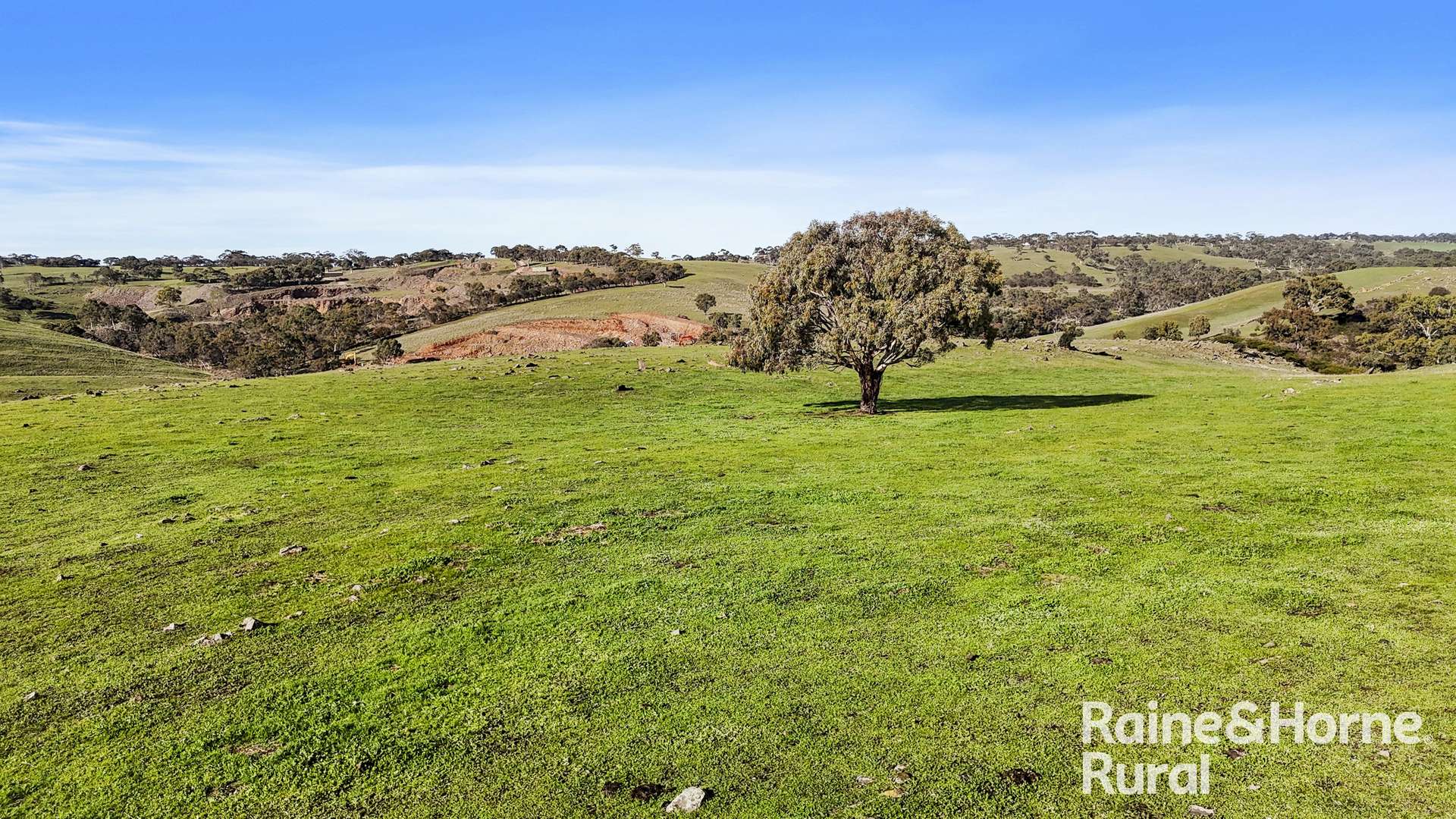 341 Wiles Firetrack, Wistow For Sale by Farmbuy.com - image 24