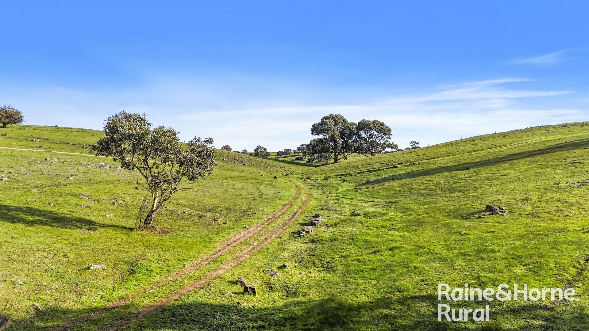 341 Wiles Firetrack, Wistow For Sale by Farmbuy.com - image 15