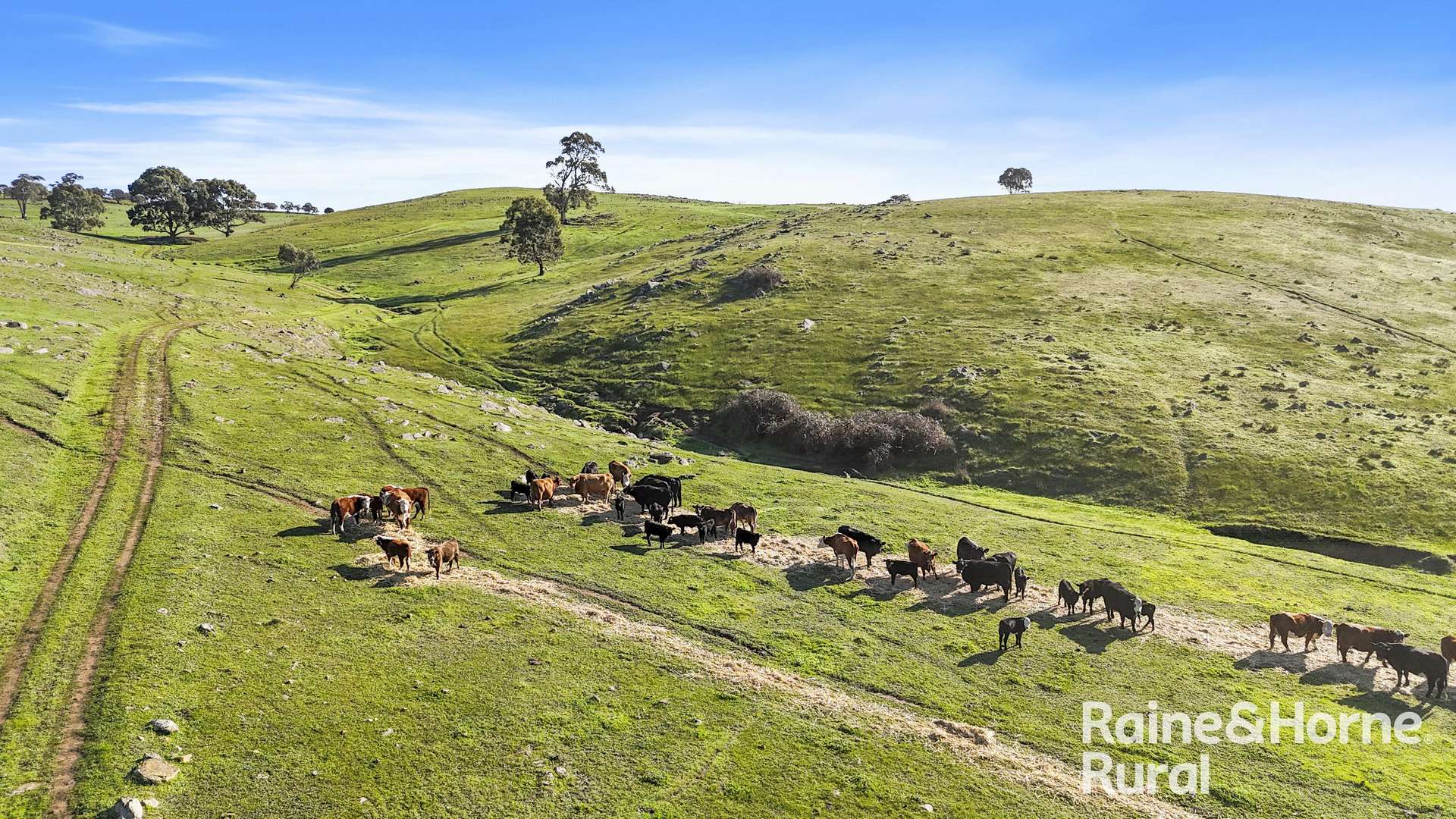 341 Wiles Firetrack, Wistow For Sale by Farmbuy.com - image 14