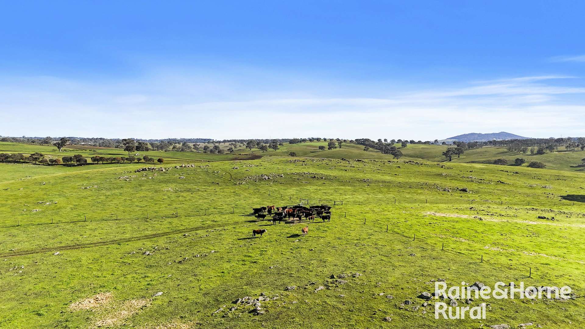341 Wiles Firetrack, Wistow For Sale by Farmbuy.com - image 27