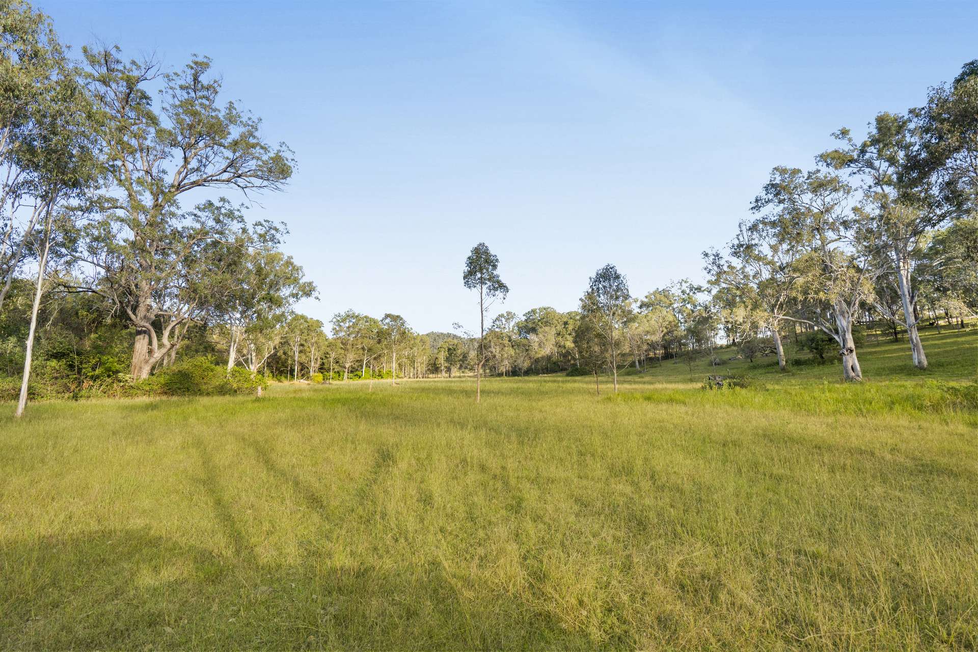 Lot 801 Kerry Road, Kerry For Sale by Farmbuy.com - image 13
