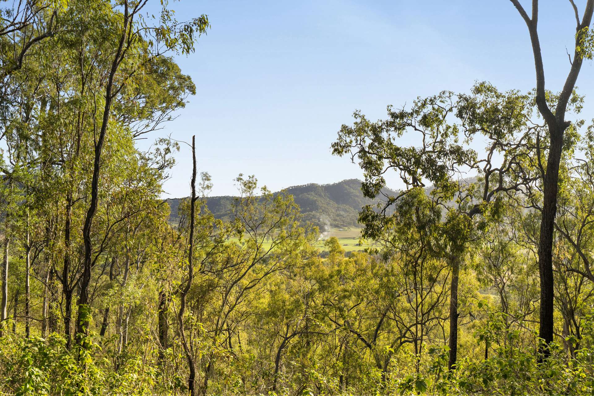 Lot 801 Kerry Road, Kerry For Sale by Farmbuy.com - image 16