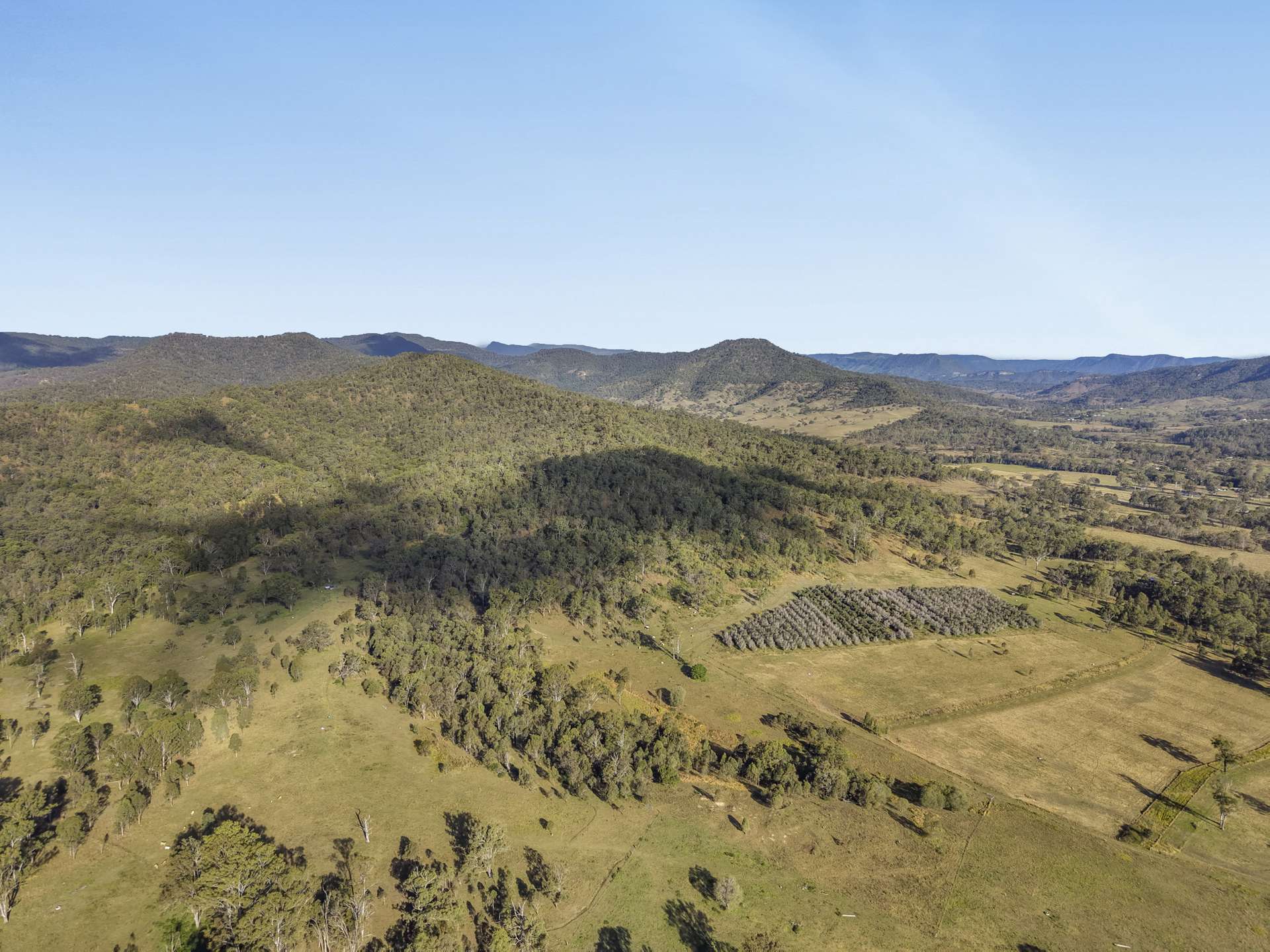 Lot 801 Kerry Road, Kerry For Sale by Farmbuy.com - image 15