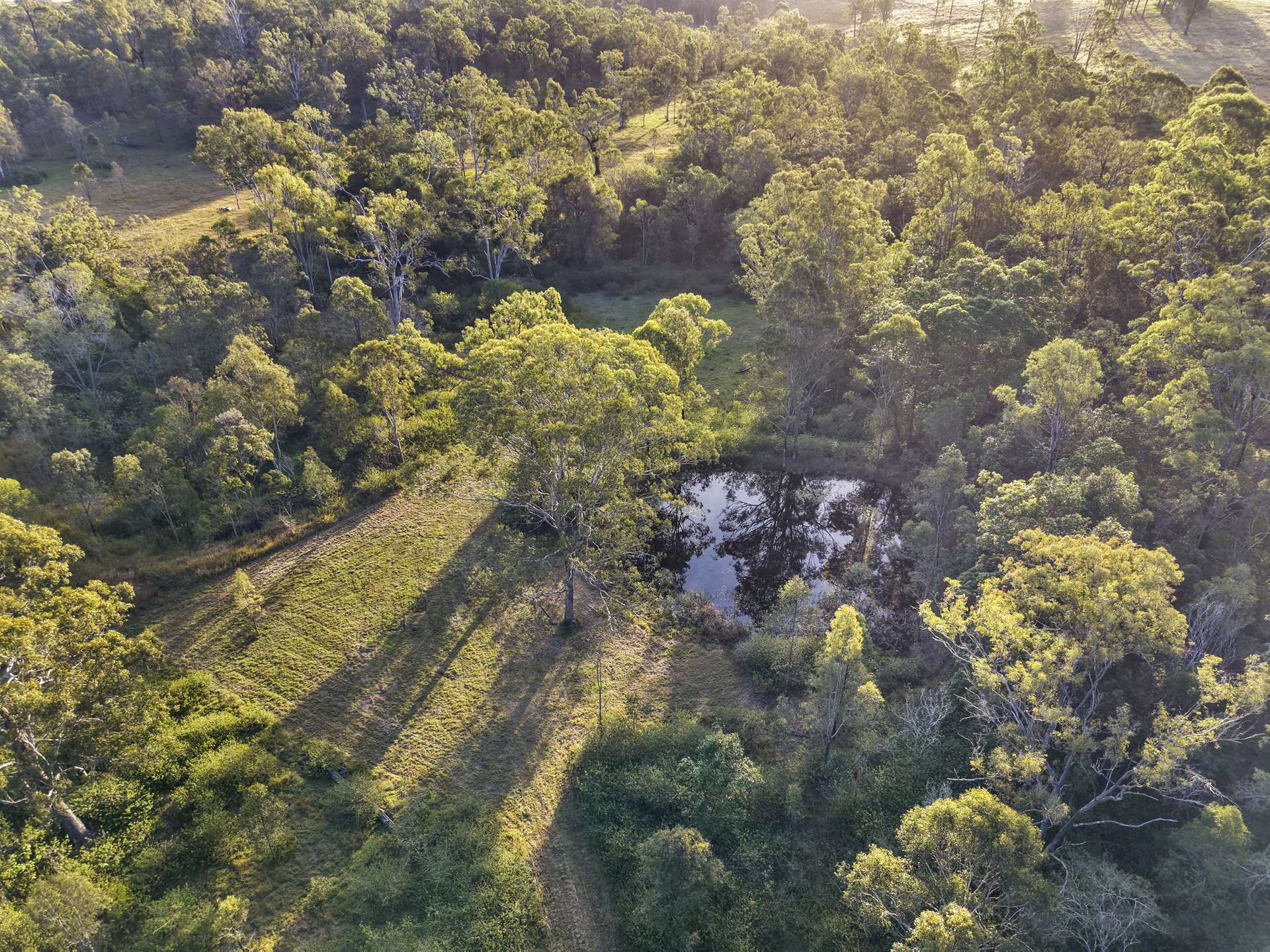 Lot 801 Kerry Road, Kerry For Sale by Farmbuy.com - image 6