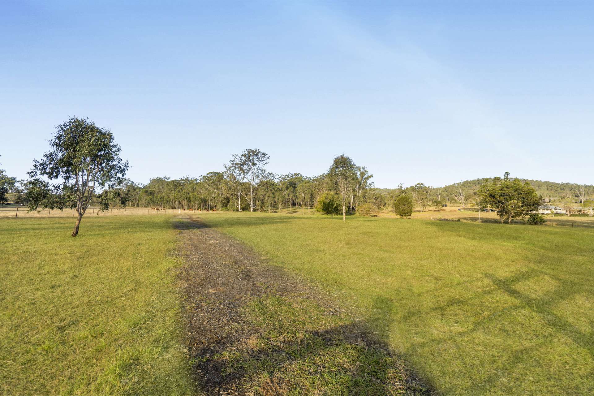 Lot 801 Kerry Road, Kerry For Sale by Farmbuy.com - image 14