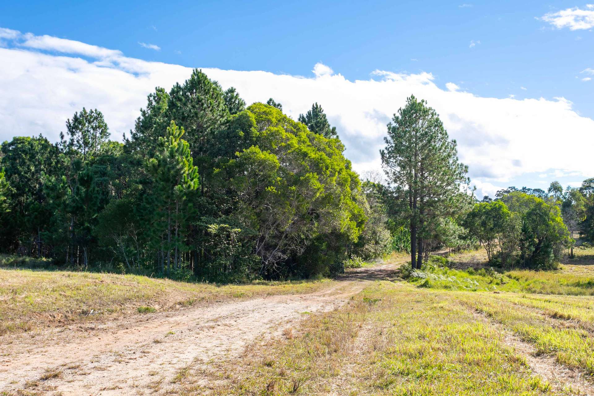 300 Kennedys Road, Lake Macdonald For Sale by Farmbuy.com - image 11