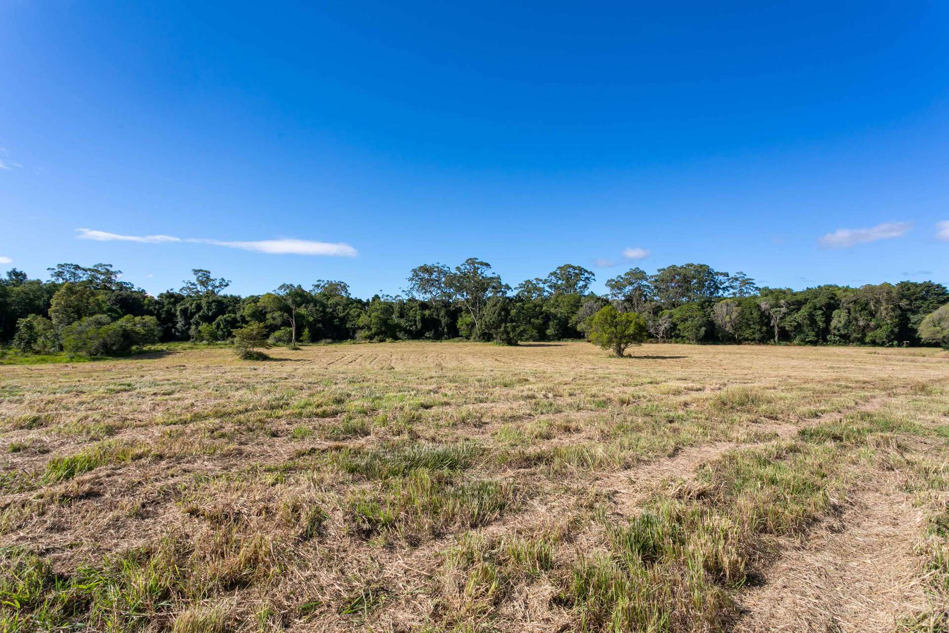 300 Kennedys Road, Lake Macdonald For Sale by Farmbuy.com - image 22