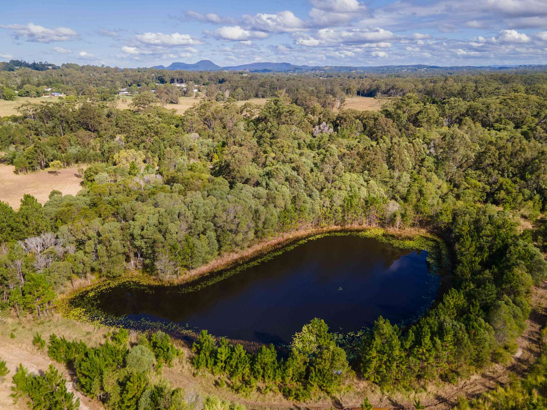300 Kennedys Road, Lake Macdonald For Sale by Farmbuy.com - image 13