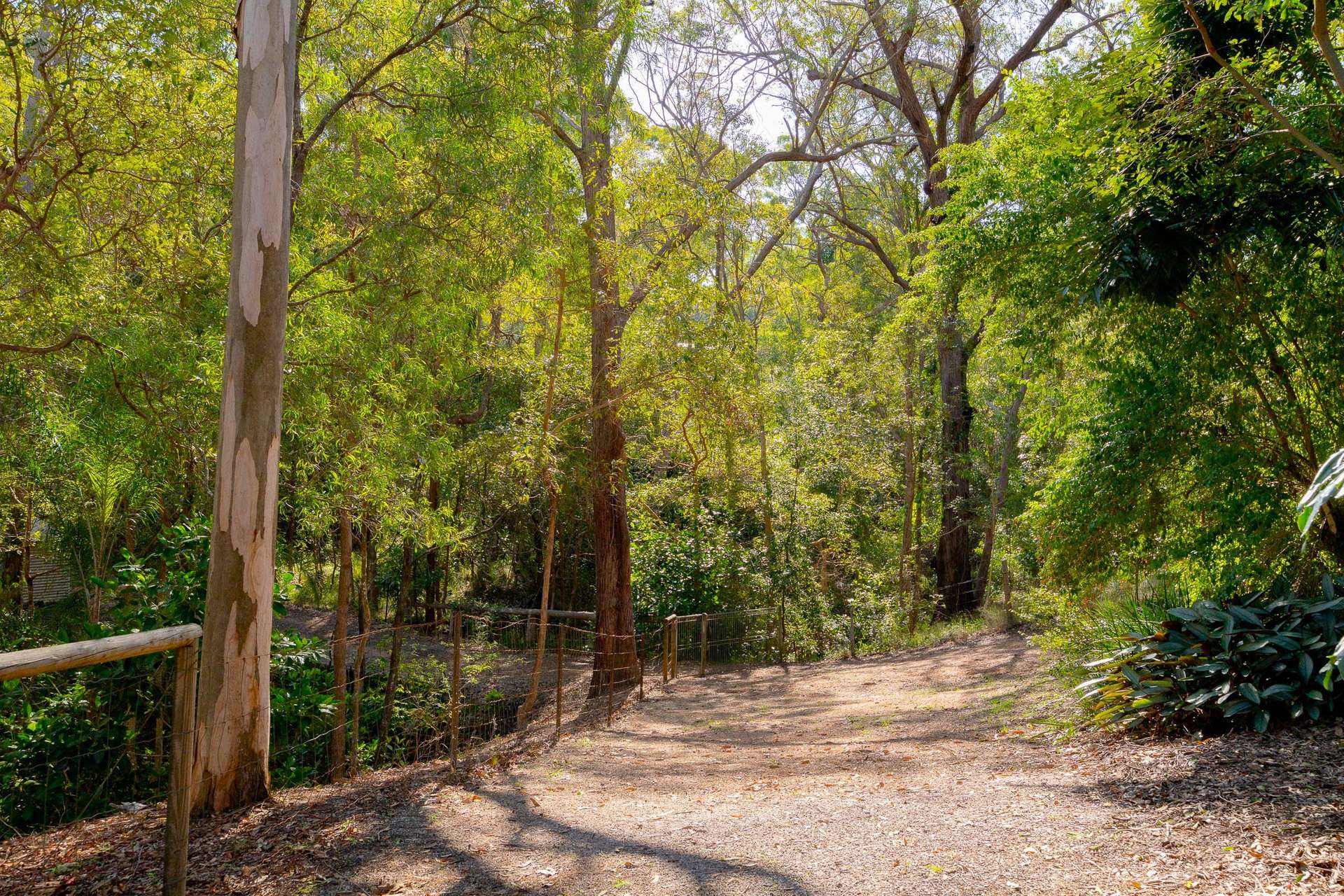 8 Corymbia Lane, Eatons Hill For Sale by Farmbuy.com - image 7