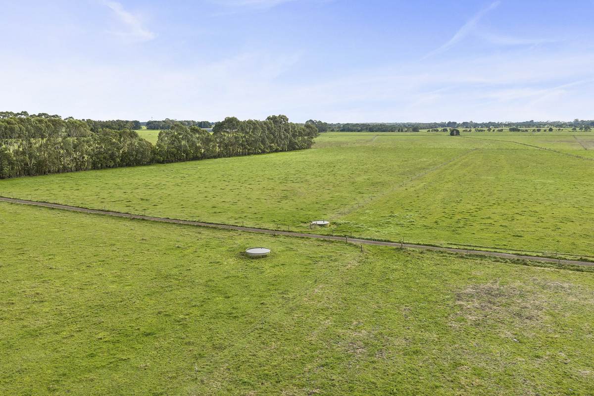 360 Irrewillipe-Pirron Yallock Road, Pirron Yallock For Sale by Farmbuy.com - image 15