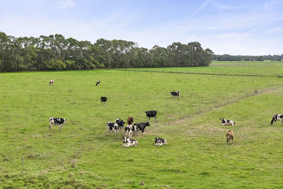 360 Irrewillipe-Pirron Yallock Road, Pirron Yallock For Sale by Farmbuy.com - image 3