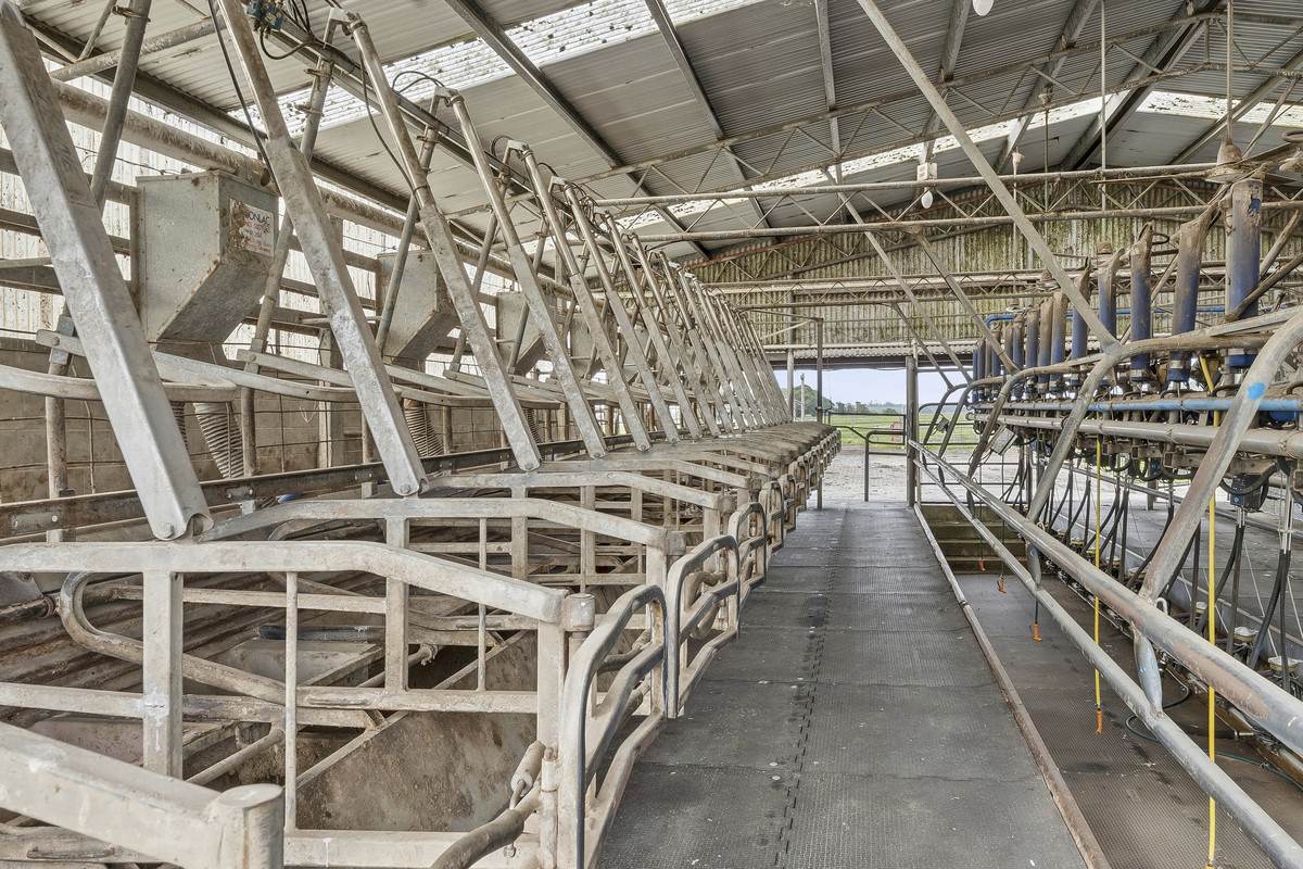 360 Irrewillipe-Pirron Yallock Road, Pirron Yallock For Sale by Farmbuy.com - image 6
