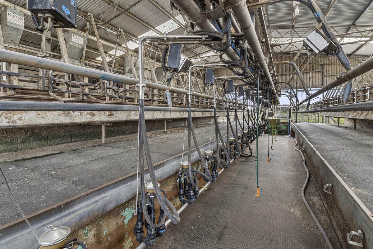 360 Irrewillipe-Pirron Yallock Road, Pirron Yallock For Sale by Farmbuy.com - image 7