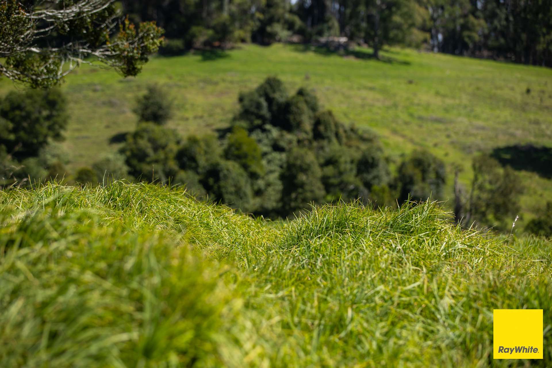 235 Beaumonts Road, Dorrigo For Sale by Farmbuy.com - image 11