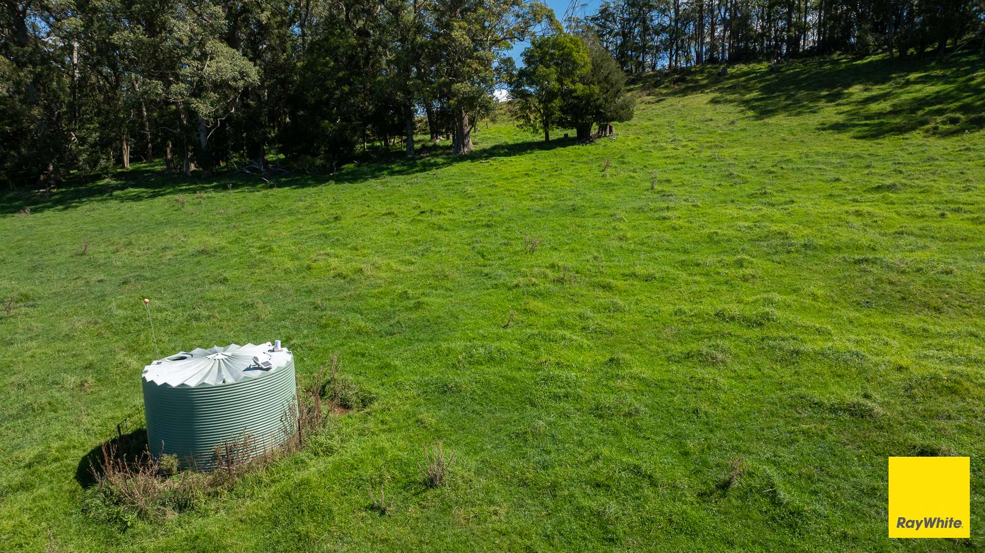 235 Beaumonts Road, Dorrigo For Sale by Farmbuy.com - image 14