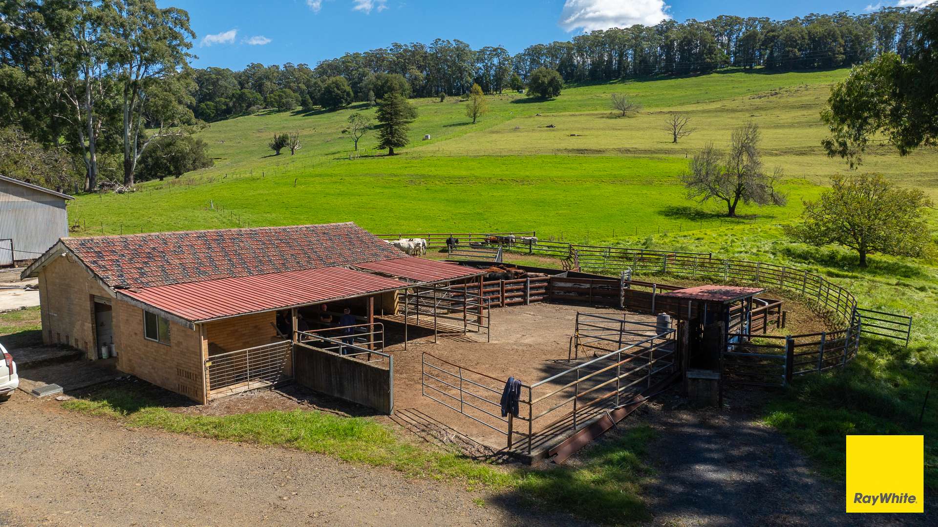 235 Beaumonts Road, Dorrigo For Sale by Farmbuy.com - image 9