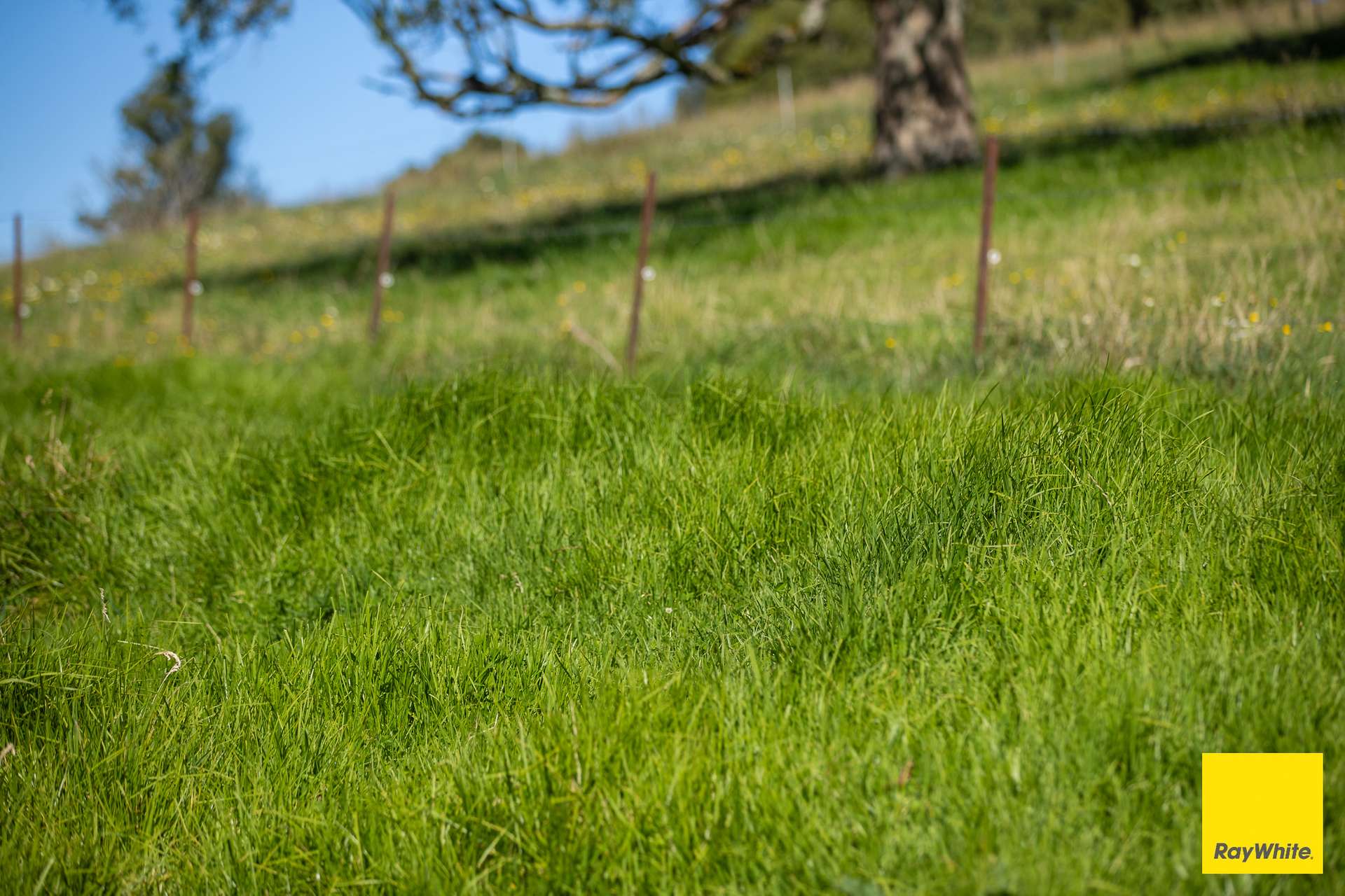 235 Beaumonts Road, Dorrigo For Sale by Farmbuy.com - image 31