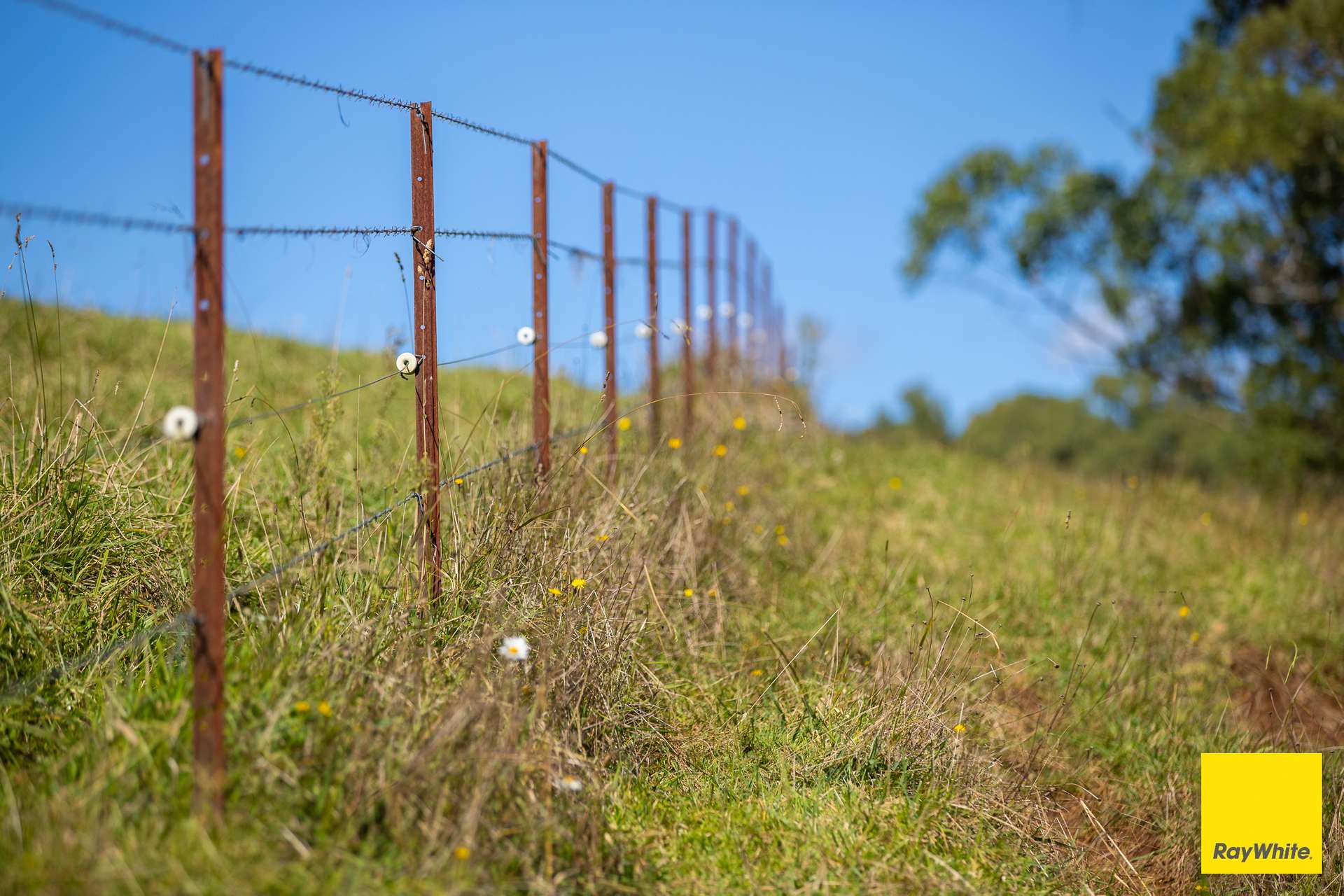 235 Beaumonts Road, Dorrigo For Sale by Farmbuy.com - image 12