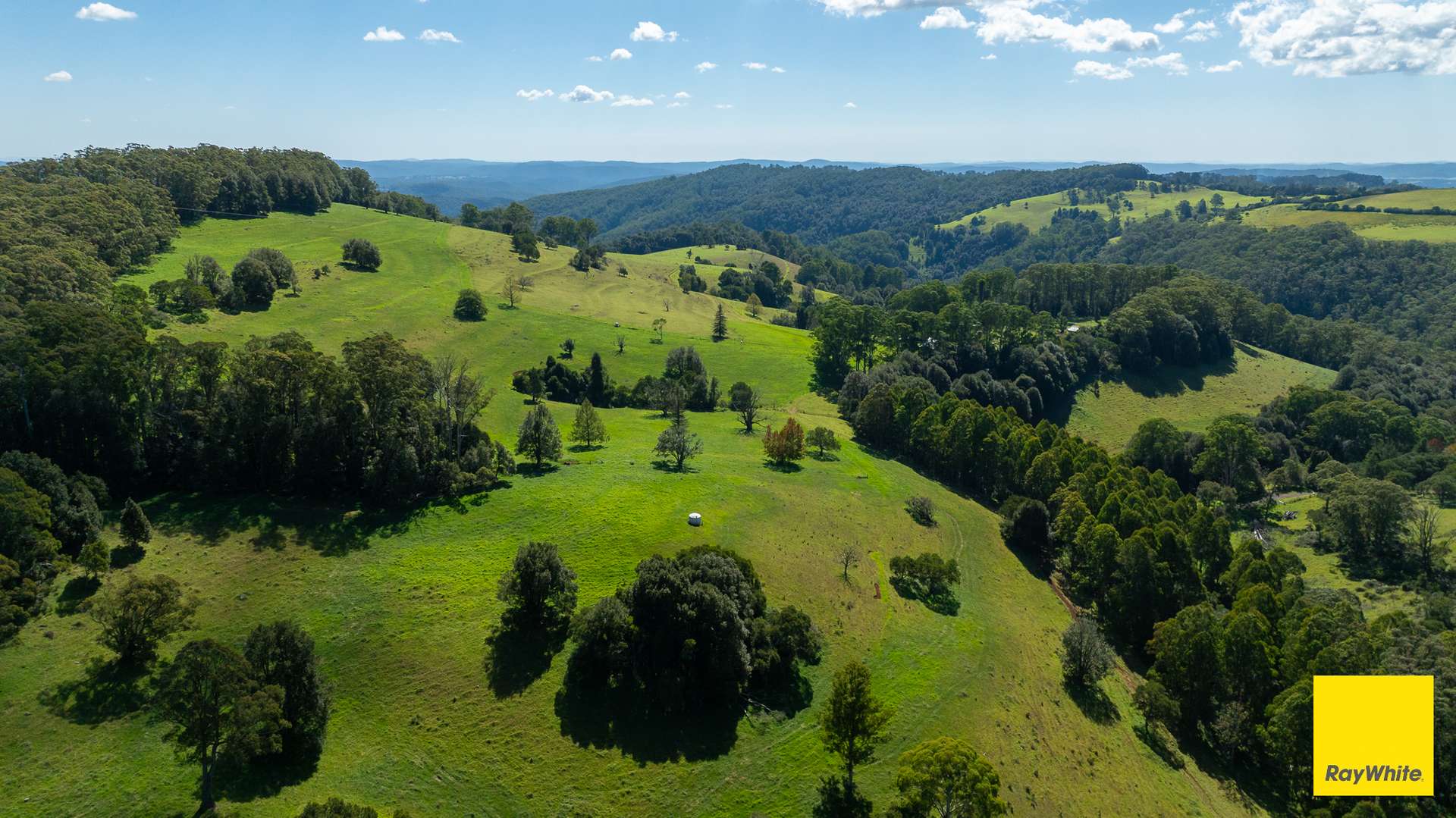 235 Beaumonts Road, Dorrigo For Sale by Farmbuy.com - image 6