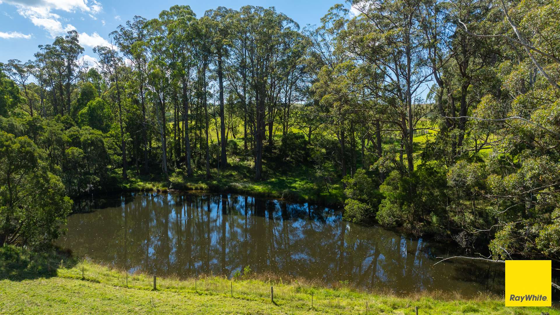 235 Beaumonts Road, Dorrigo For Sale by Farmbuy.com - image 5