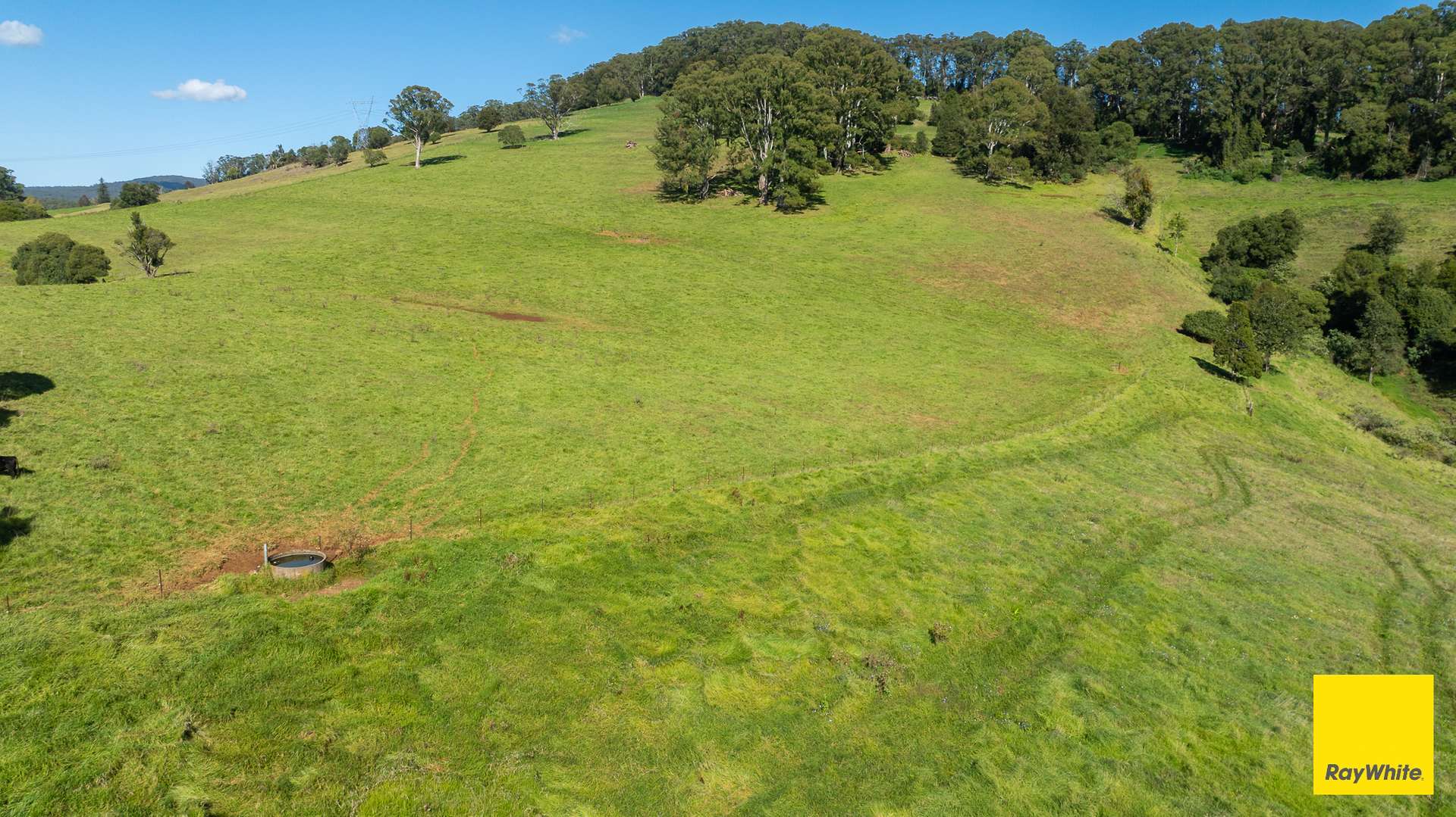 235 Beaumonts Road, Dorrigo For Sale by Farmbuy.com - image 25