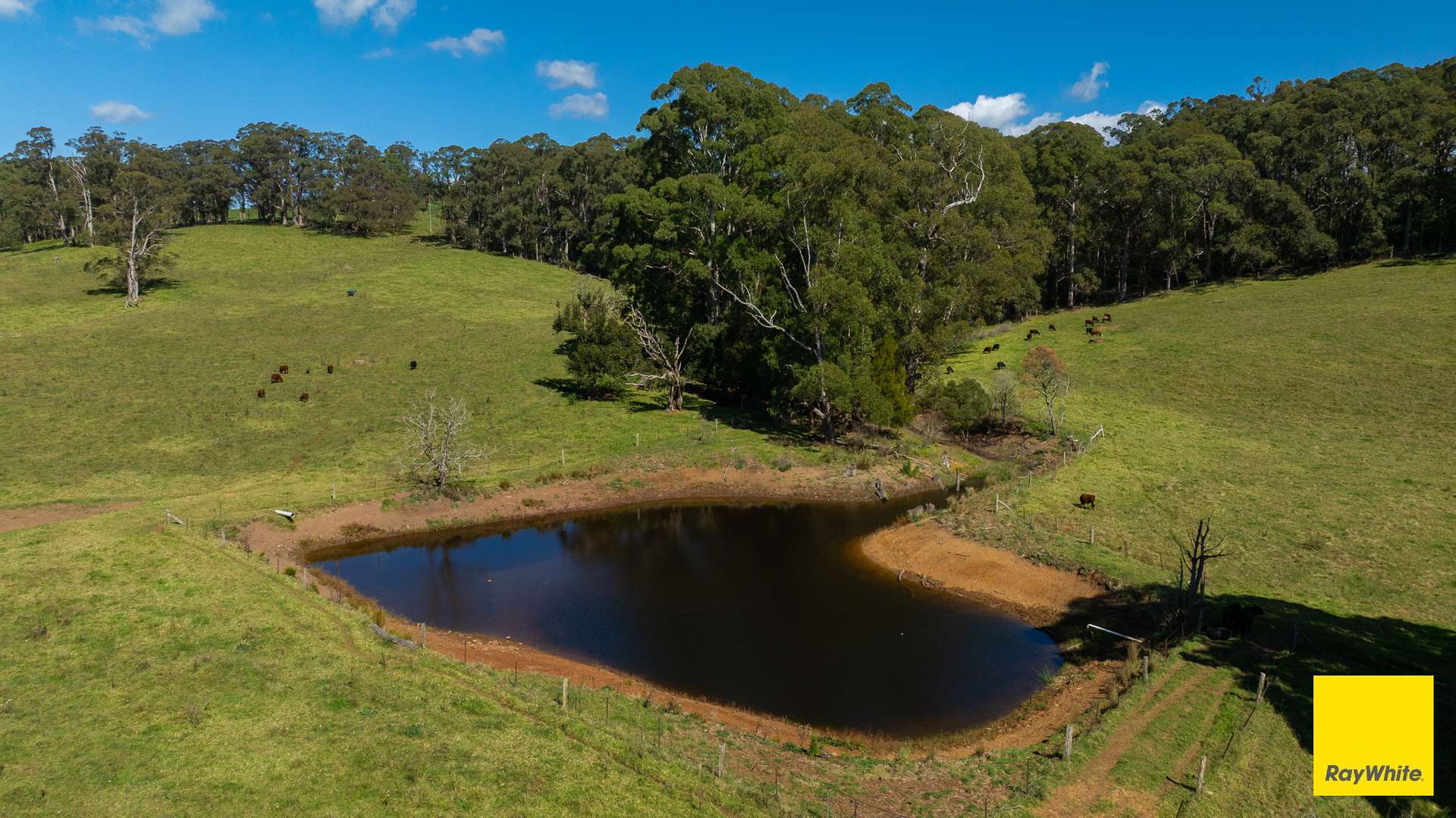 235 Beaumonts Road, Dorrigo For Sale by Farmbuy.com - image 26
