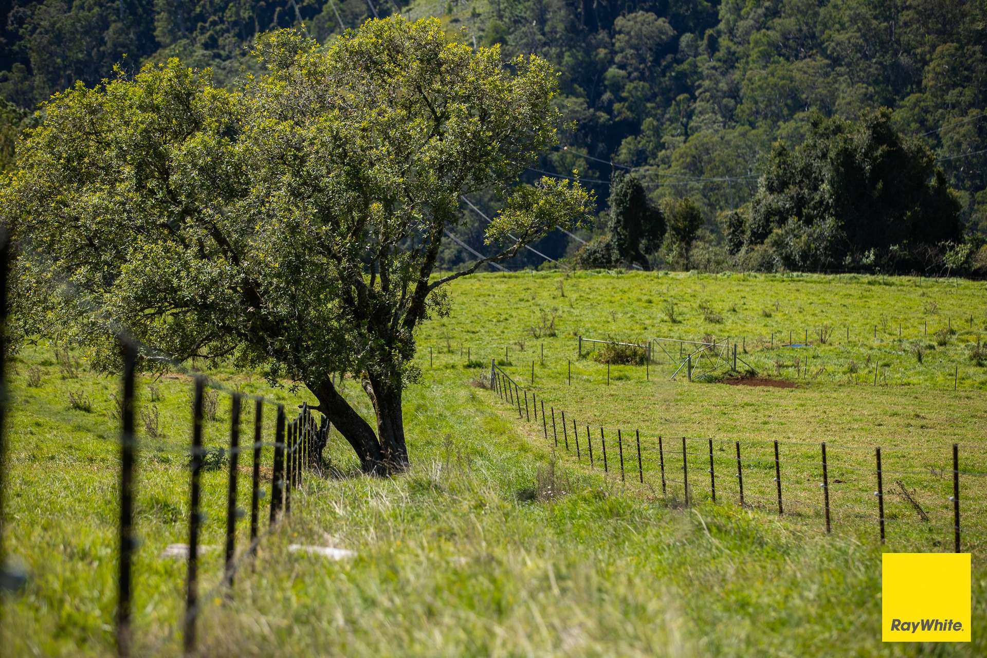 235 Beaumonts Road, Dorrigo For Sale by Farmbuy.com - image 10