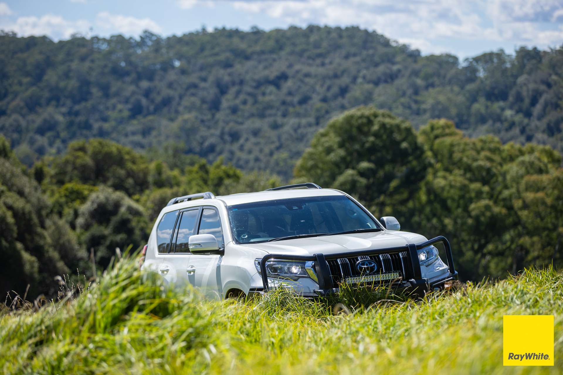 235 Beaumonts Road, Dorrigo For Sale by Farmbuy.com - image 3