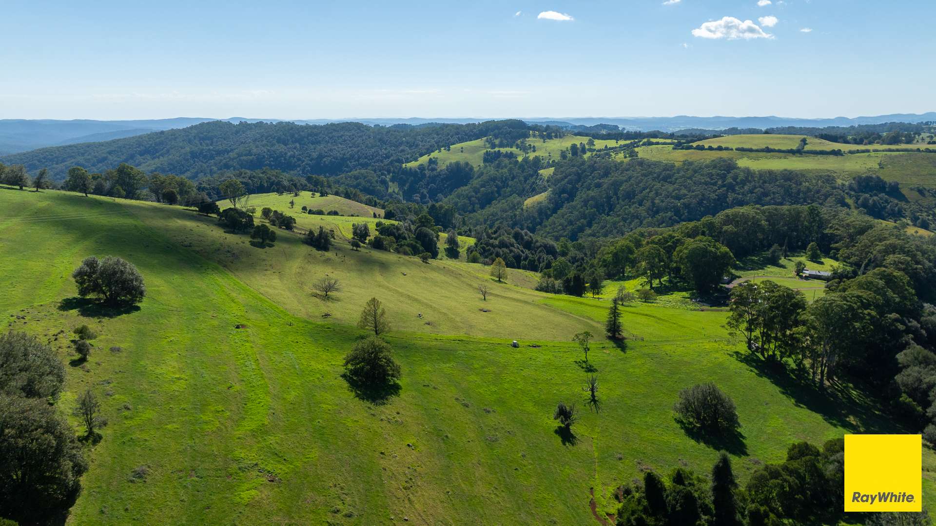 235 Beaumonts Road, Dorrigo For Sale by Farmbuy.com - image 24