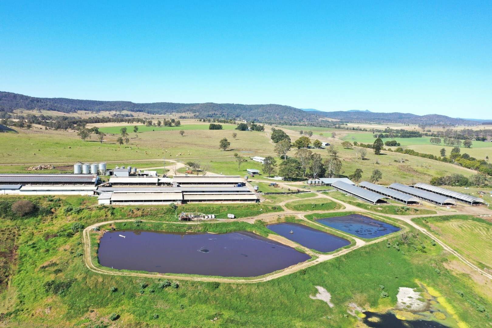 12 Mason's Road, Kyogle For Sale by Farmbuy.com - image 19