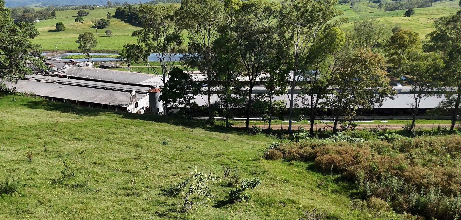 12 Mason's Road, Kyogle For Sale by Farmbuy.com - image 9