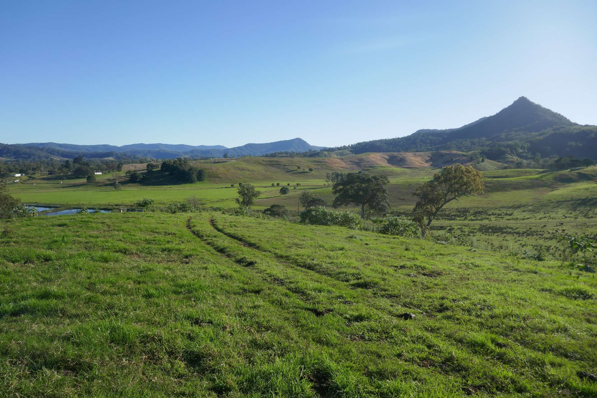 12 Mason's Road, Kyogle For Sale by Farmbuy.com - image 1
