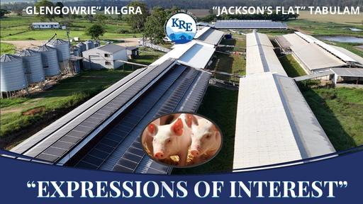 Farm For Sale - NSW - Kyogle - 2474 - EXPRESSIONS OF INTEREST - “GLENGOWRIE” & “JACKSONS FLAT” PIGGERY AND LIVESTOCK PROPERTIES 