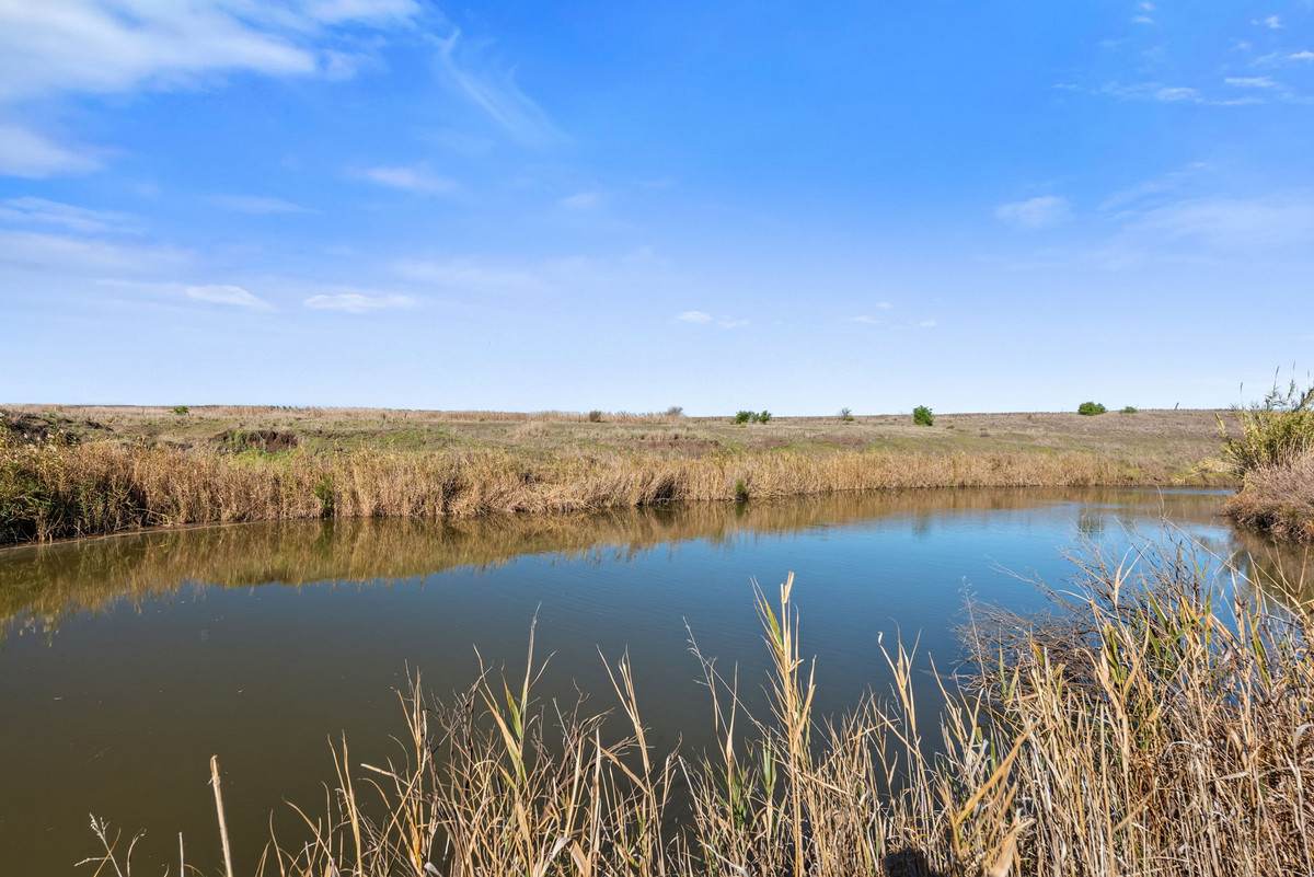 Lot 2,  Clifton Leyburn Road, Ryeford For Sale by Farmbuy.com - image 4