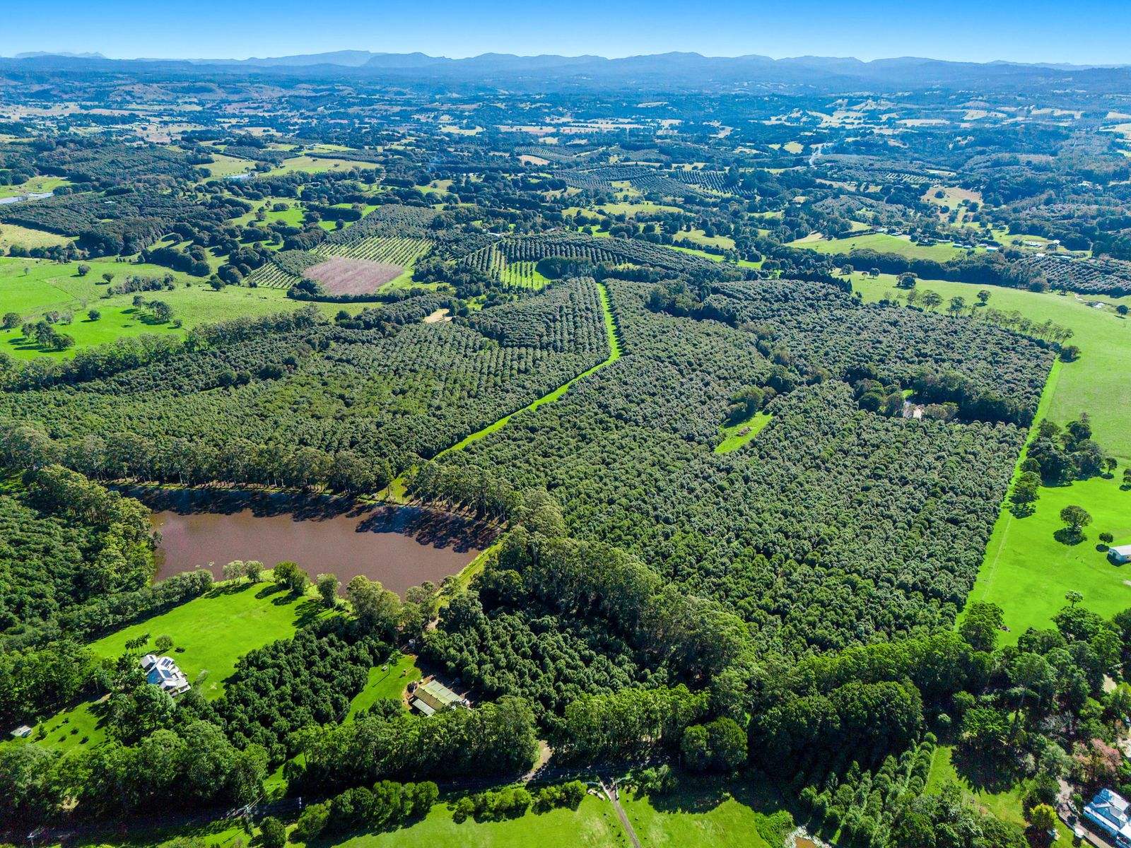 269 Sneaths Road, Wollongbar For Sale by Farmbuy.com - image 1