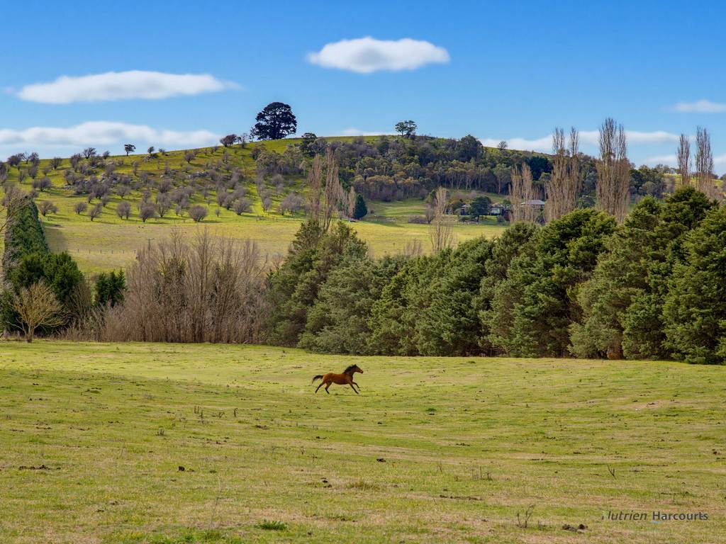 72 Little River Road, Braidwood NSW 2622