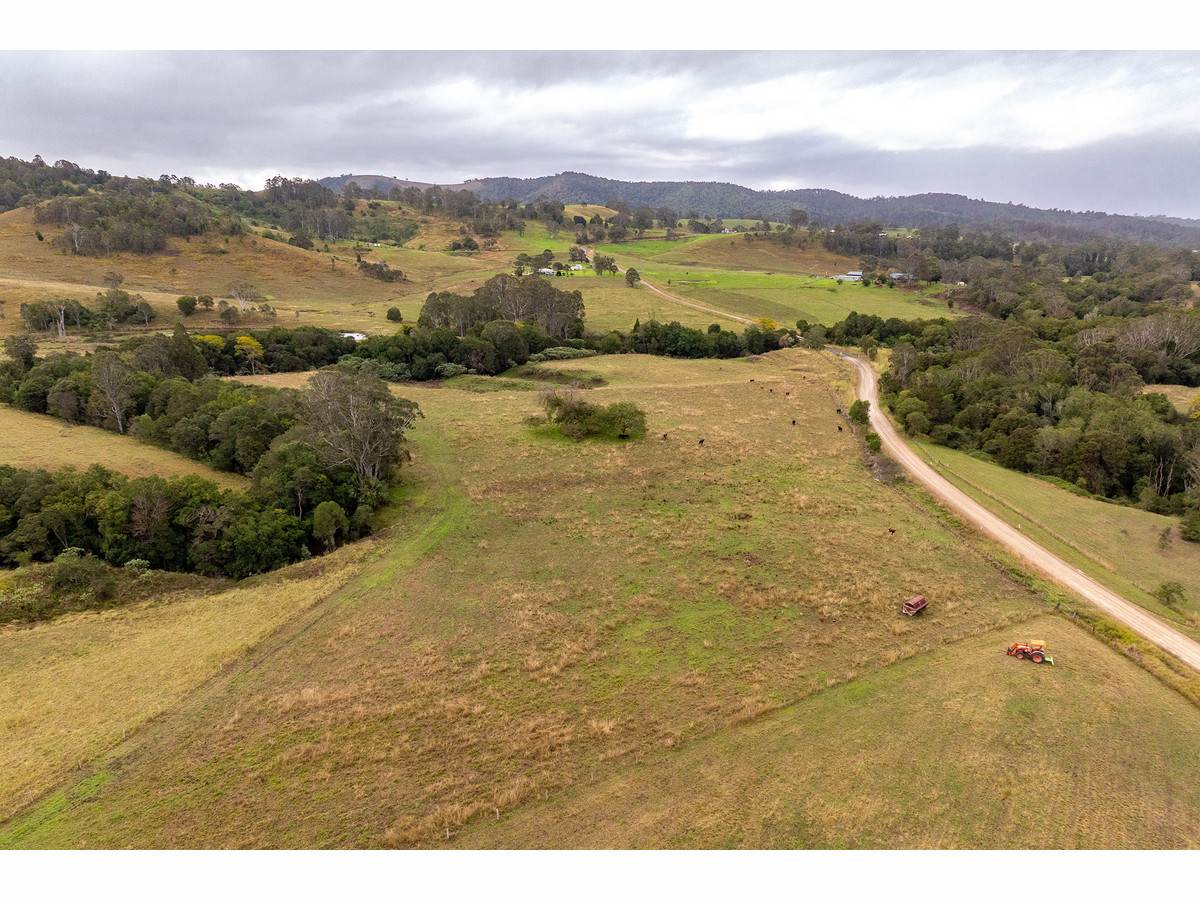 1262 Willina Road, Bunyah For Sale by Farmbuy.com - image 6