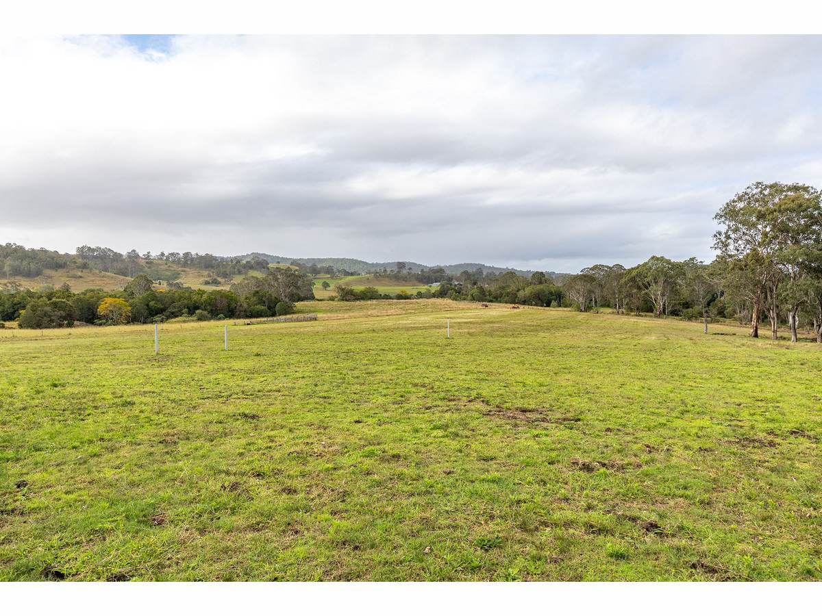 1262 Willina Road, Bunyah For Sale by Farmbuy.com - image 21