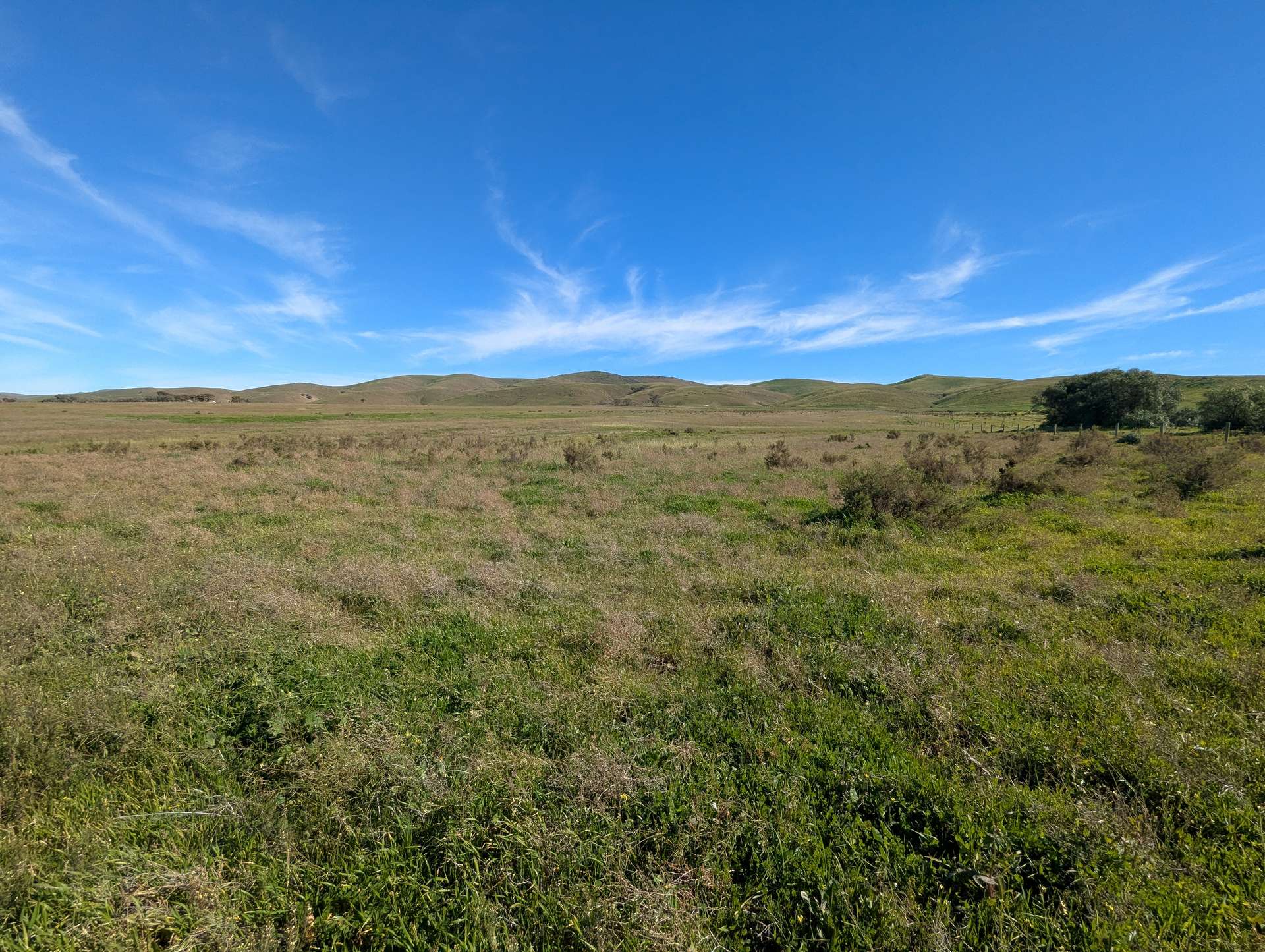 480 Three Chain Road, Cambrai For Sale by Farmbuy.com - image 15