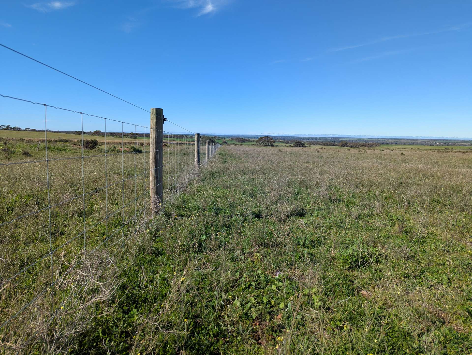 480 Three Chain Road, Cambrai For Sale by Farmbuy.com - image 17