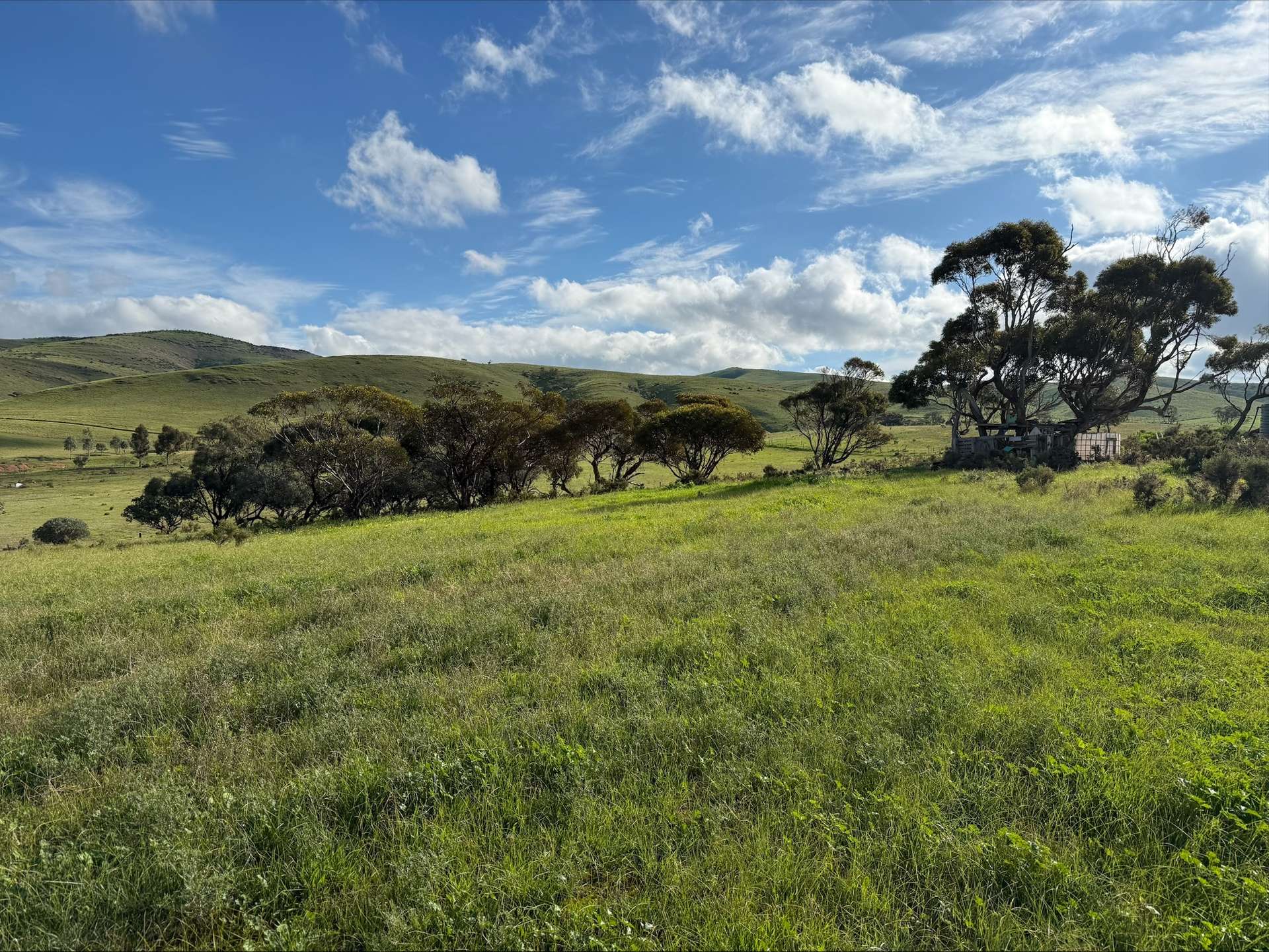480 Three Chain Road, Cambrai For Sale by Farmbuy.com - image 16