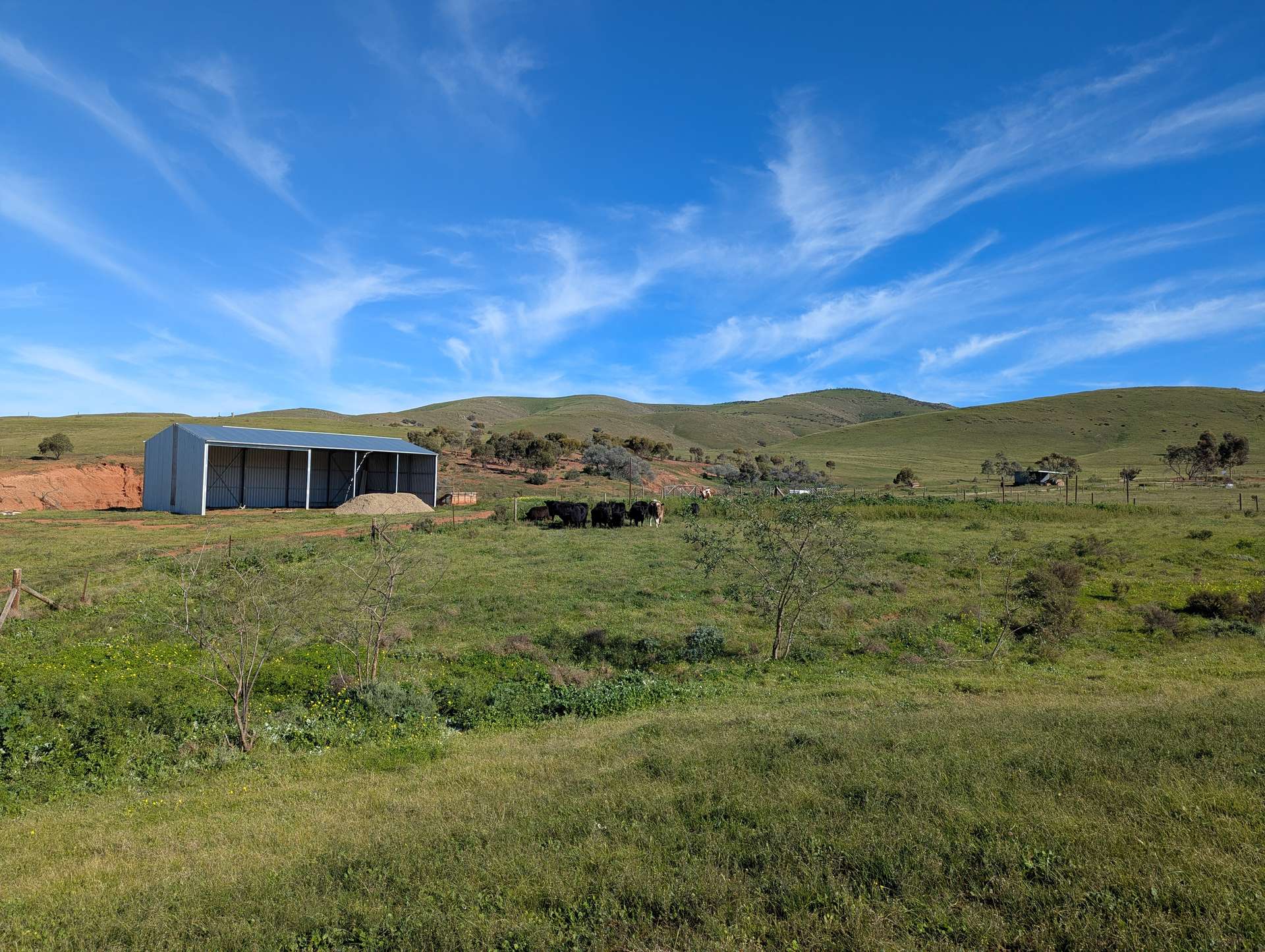 480 Three Chain Road, Cambrai For Sale by Farmbuy.com - image 6