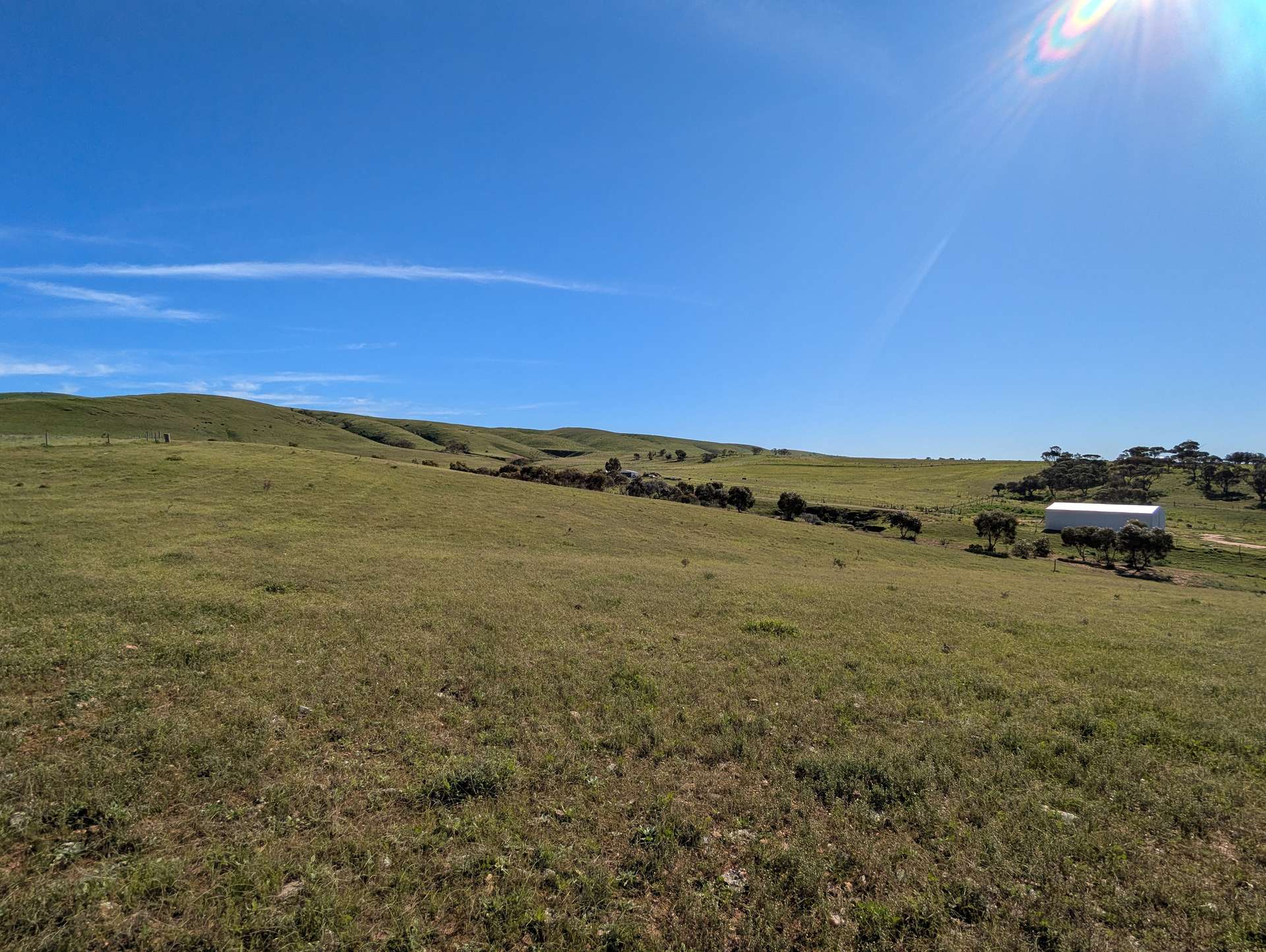 480 Three Chain Road, Cambrai For Sale by Farmbuy.com - image 19