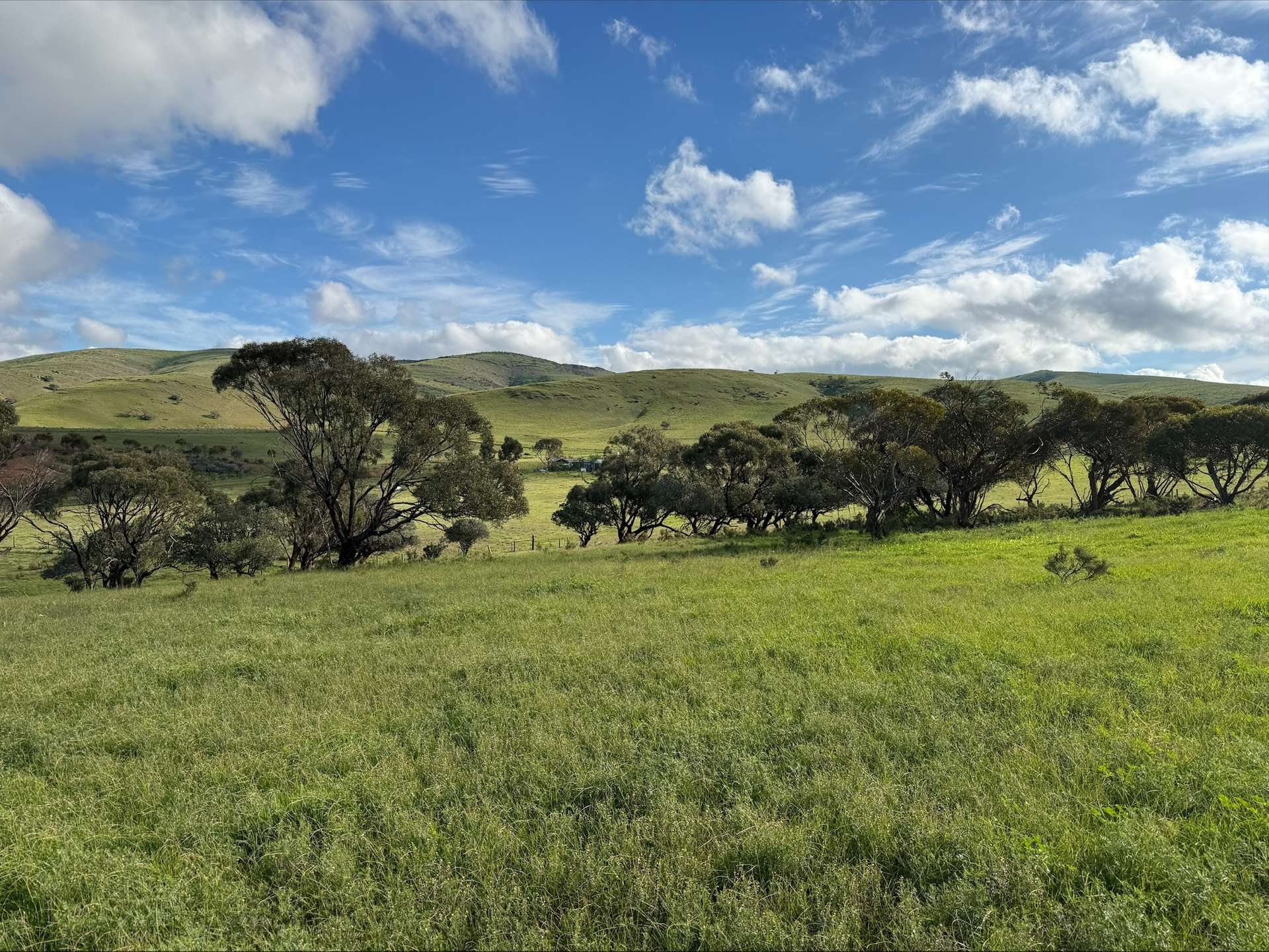 480 Three Chain Road, Cambrai For Sale by Farmbuy.com - image 8